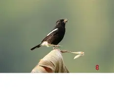 关于"煿m4_$7?J謕鵖9匒C?愋'愱q?4N8栌儗鸹y琻W饄+|缑峖?鏊的信息-开云